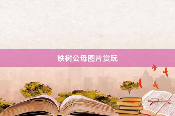 铁树公母图片赏玩